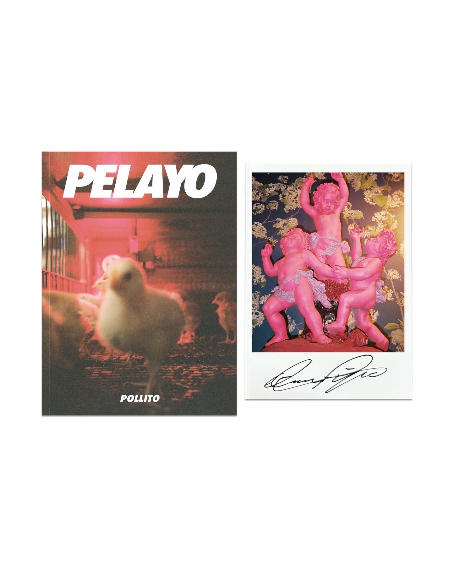 PELAYO CH1: POLLITO with Signed Photo
